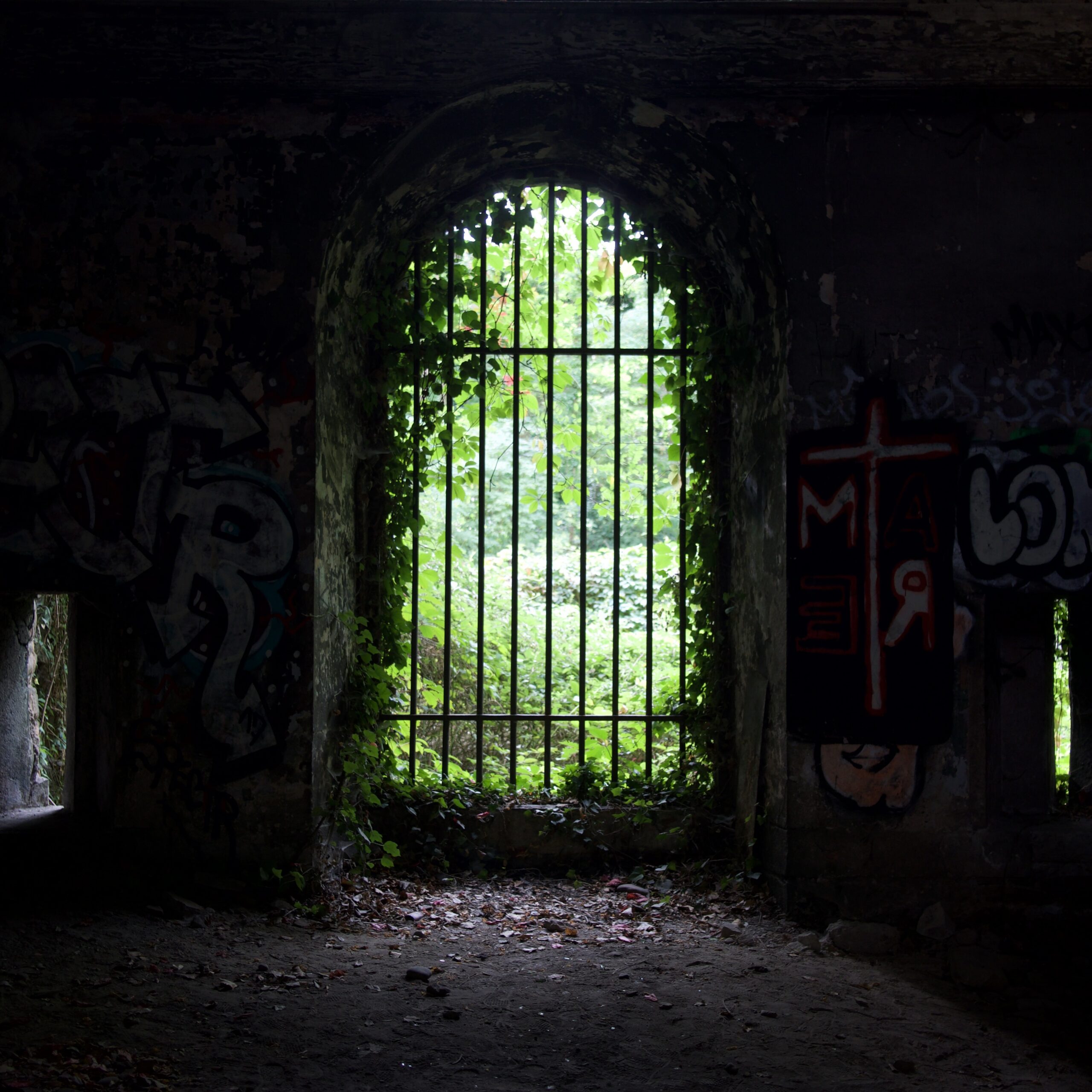 Grille de l'entrée d'un fort abandonné depuis des décennies.